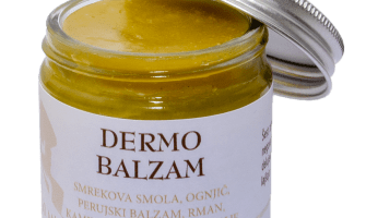 Šest zdravilnih rastlin, za vsako domačo lekarno