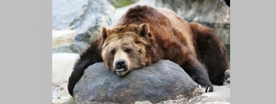 Vas je strah spomladanske utrujenosti?