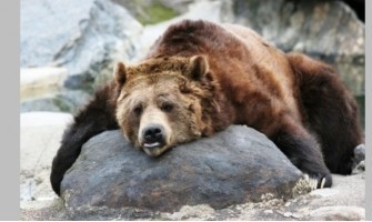 Vas je strah spomladanske utrujenosti?